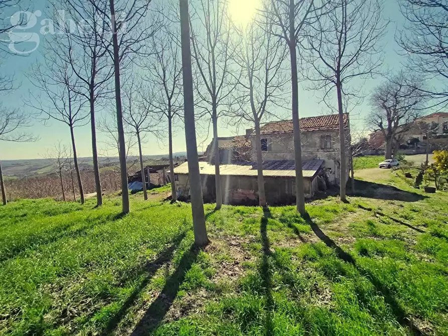 Immagine 4 di Rustico / casale in vendita  in Strada APOLLONIA, 2 a Corinaldo