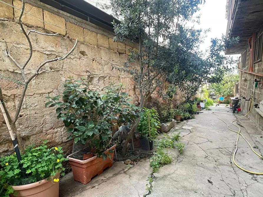Immagine 12 di Palazzo in vendita  in Via Conte Federico, 178/F a Palermo