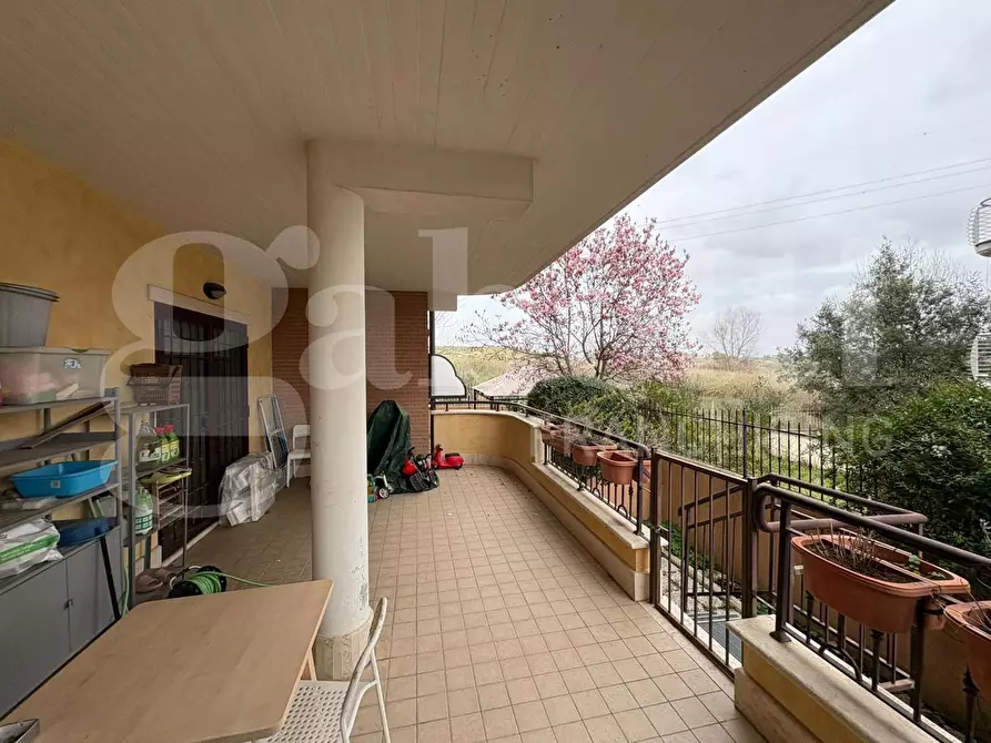 Immagine 3 di Appartamento in vendita  in Via Arzana, 57 a Roma