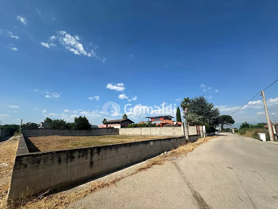 Immagine 6 di Terreno agricolo in vendita  in Via San Cuono, 43 a Acerra