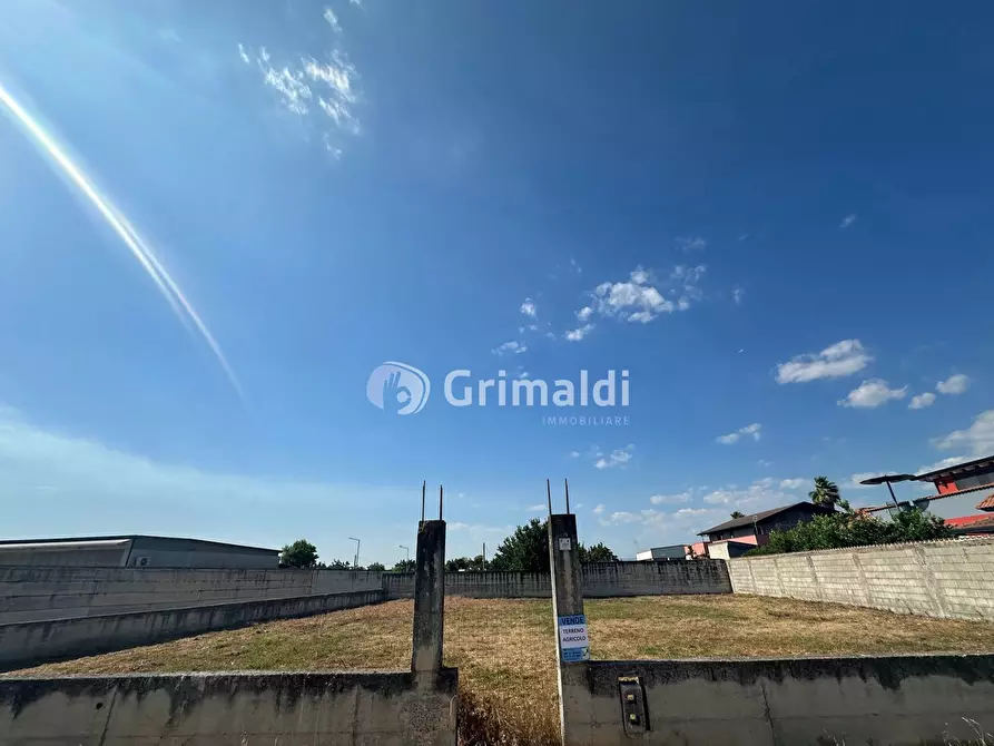 Immagine 5 di Terreno agricolo in vendita  in Via San Cuono, 43 a Acerra