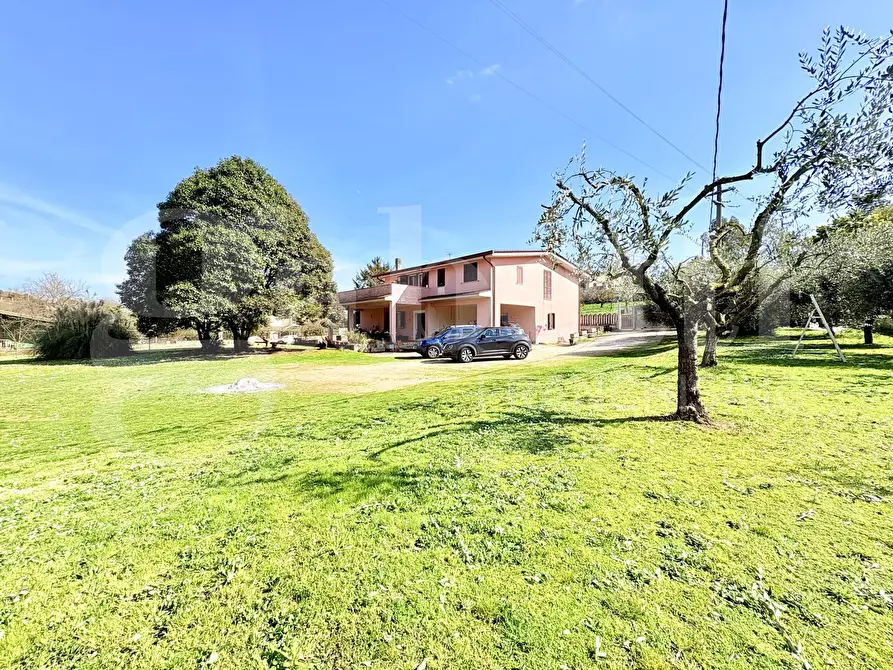 Immagine 2 di Villa in vendita  in Via Carpinetana Est, 56 a Segni