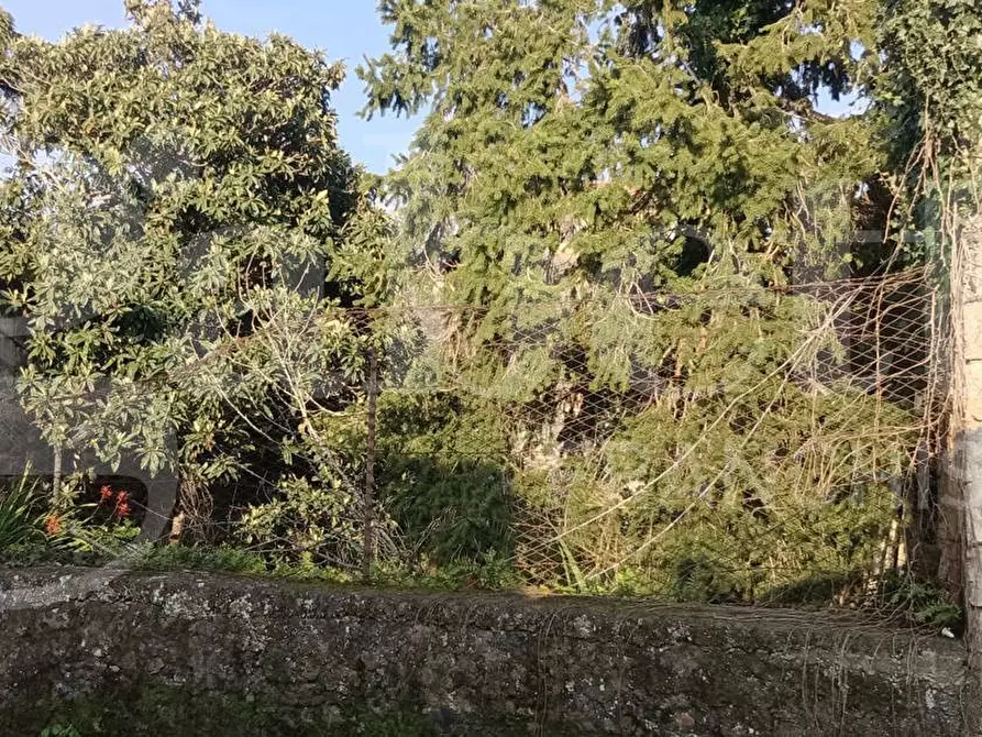 Immagine 3 di Terreno residenziale in vendita  in Via Regalotto, 12 a Pedara