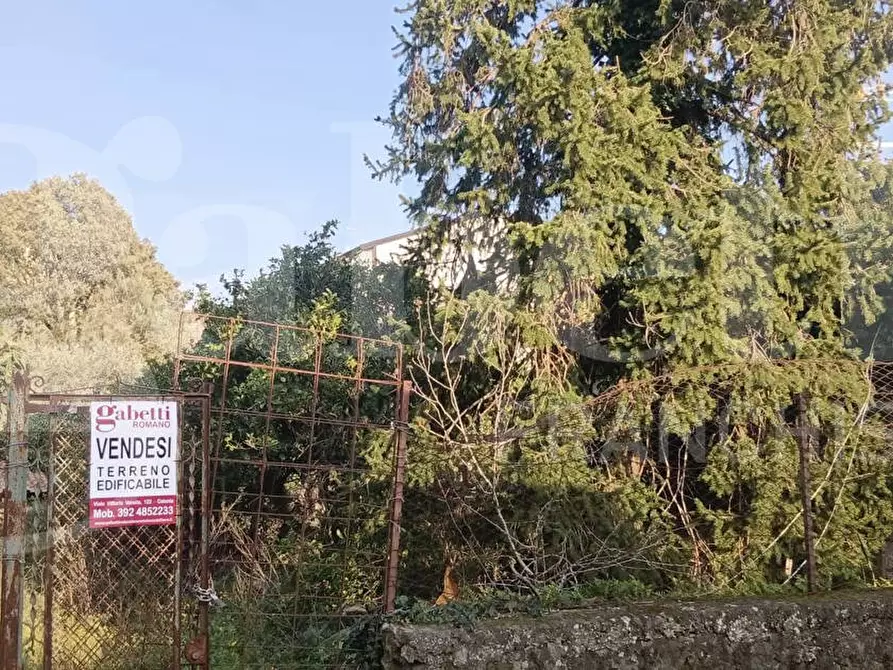 Immagine 5 di Terreno residenziale in vendita  in Via Regalotto, 12 a Pedara
