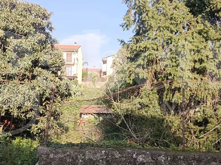 Immagine 6 di Terreno residenziale in vendita  in Via Regalotto, 12 a Pedara