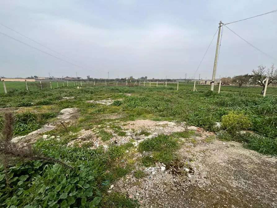 Immagine 3 di Terreno residenziale in vendita  in Via LUCERA a San Severo