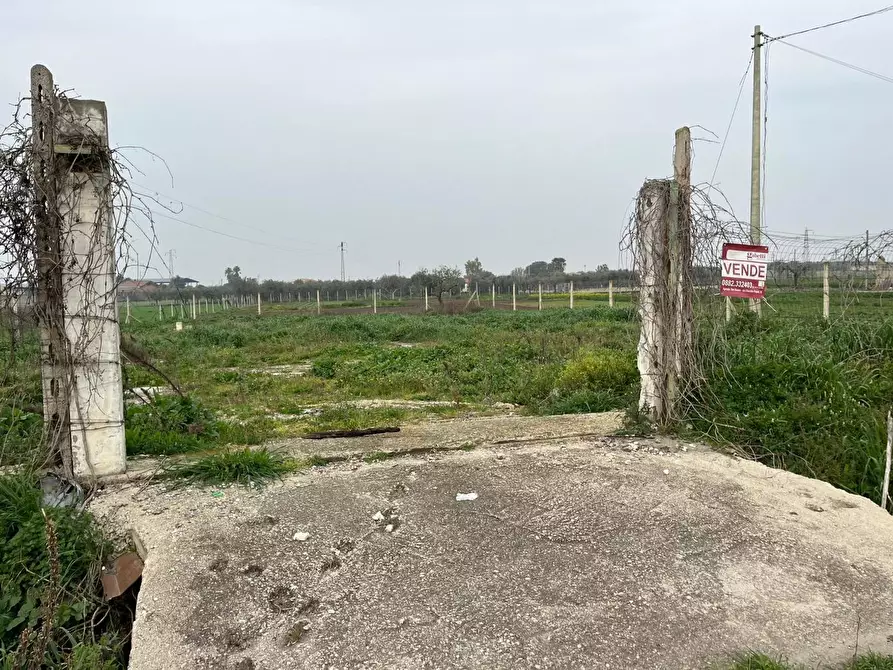 Immagine 1 di Terreno residenziale in vendita  in Via LUCERA a San Severo