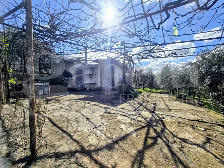 Immagine 3 di Rustico / casale in vendita  in Via Fonte del Colle, snc a Artena