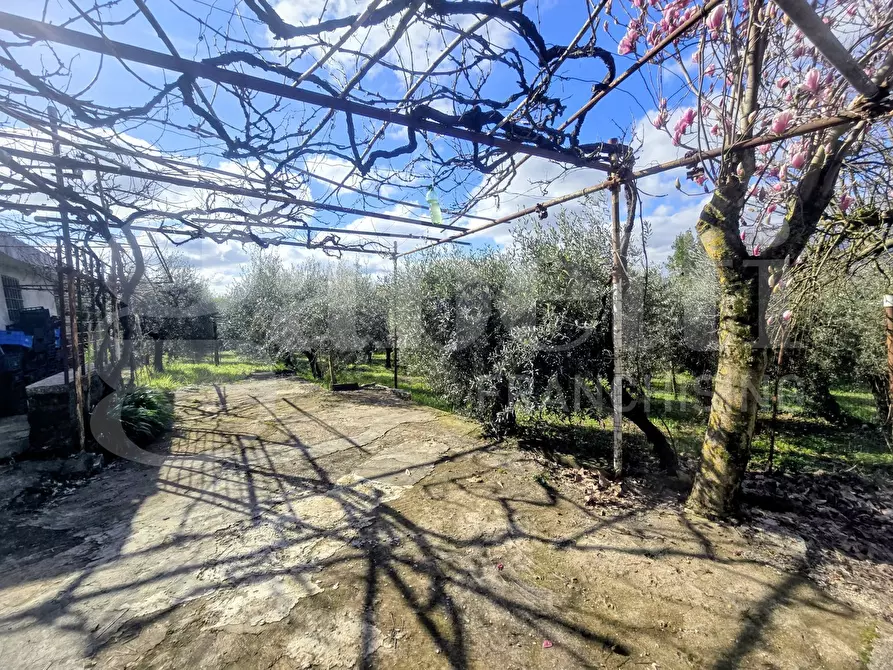 Immagine 4 di Rustico / casale in vendita  in Via Fonte del Colle, snc a Artena