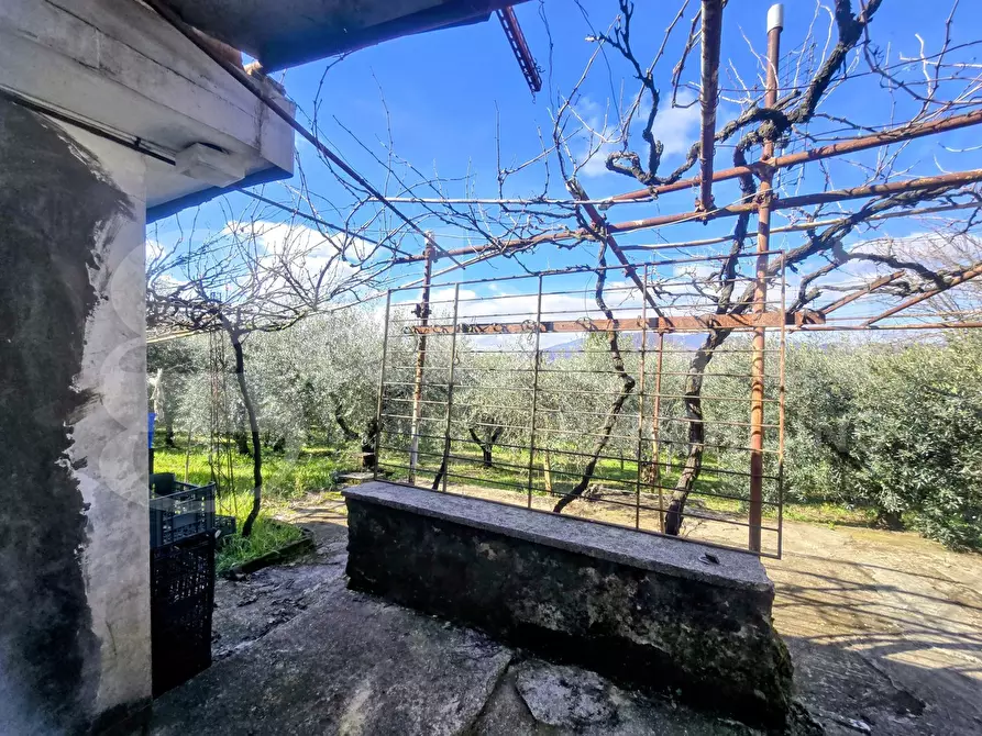 Immagine 11 di Rustico / casale in vendita  in Via Fonte del Colle, snc a Artena