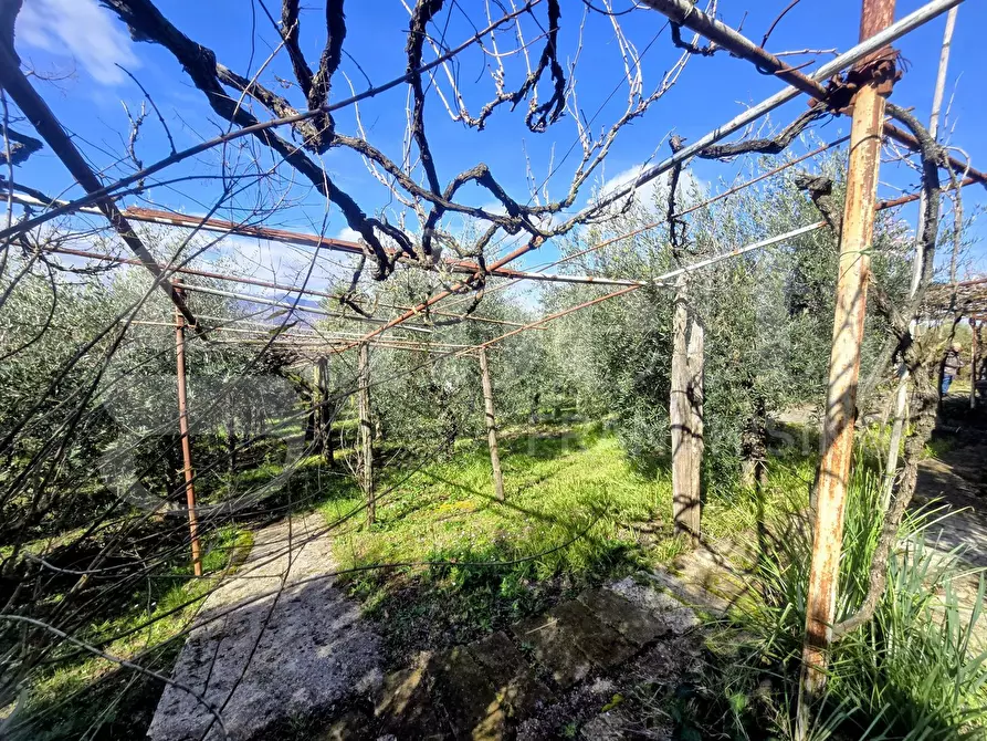 Immagine 17 di Rustico / casale in vendita  in Via Fonte del Colle, snc a Artena