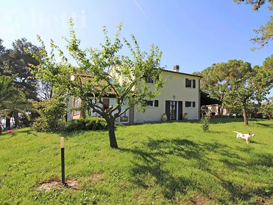 Immagine 5 di Villa in vendita  in Strada SAN SILVESTRO, 37 a Senigallia