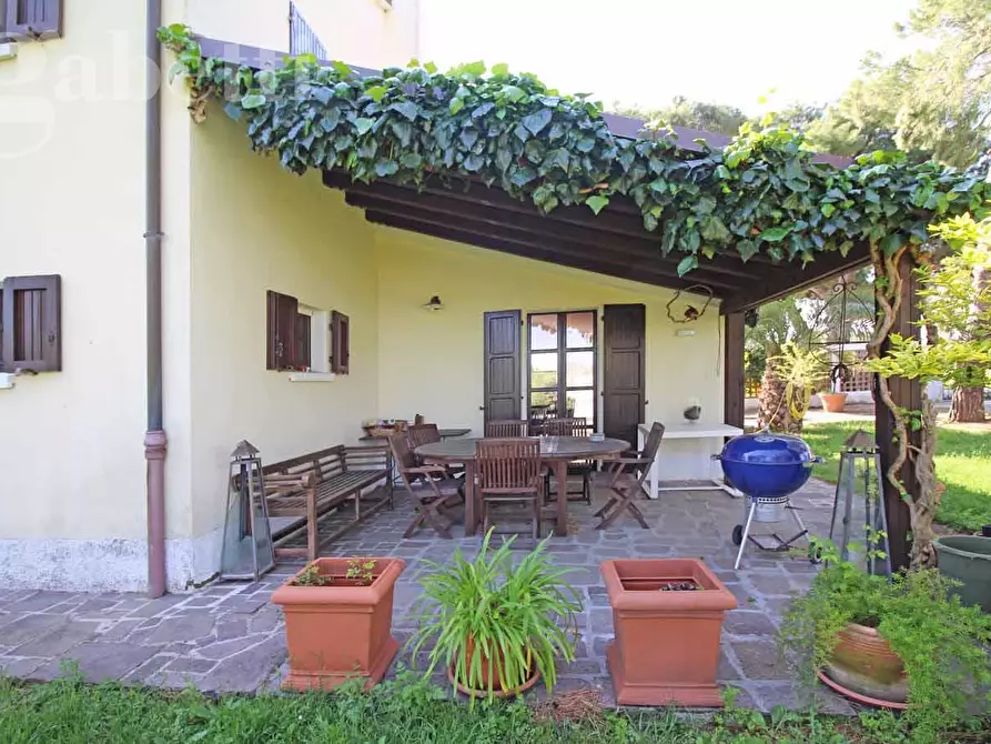 Immagine 8 di Villa in vendita  in Strada SAN SILVESTRO, 37 a Senigallia