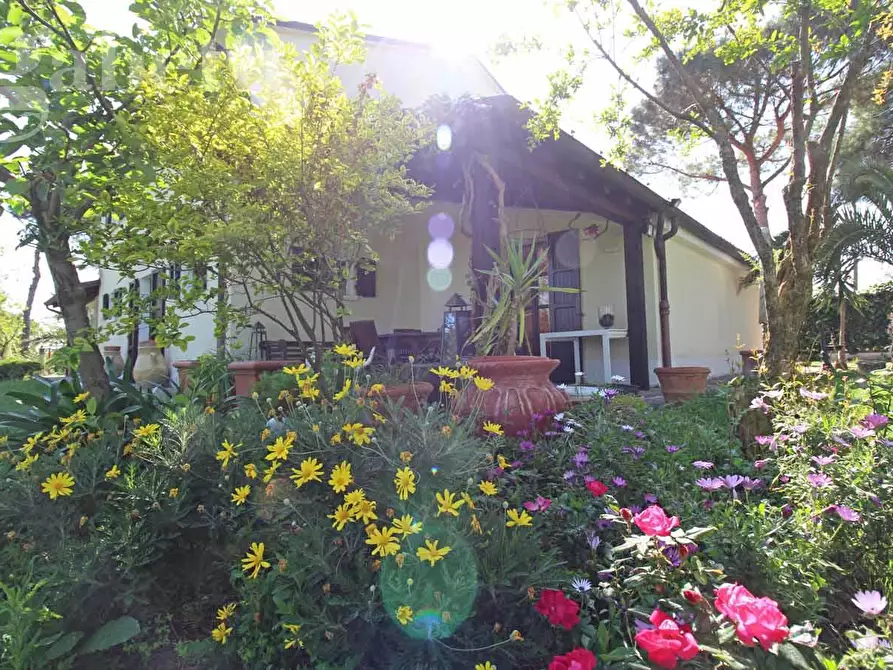 Immagine 7 di Villa in vendita  in Strada SAN SILVESTRO, 37 a Senigallia