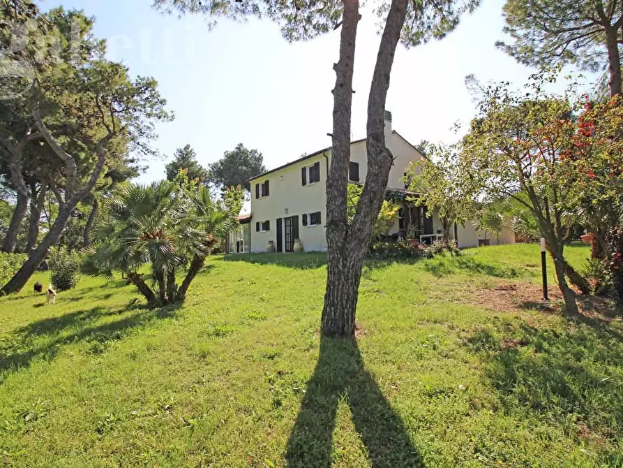Immagine 6 di Villa in vendita  in Strada SAN SILVESTRO, 37 a Senigallia