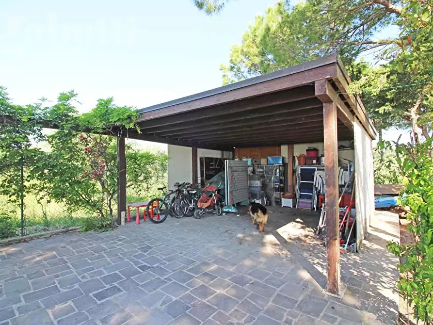 Immagine 10 di Villa in vendita  in Strada SAN SILVESTRO, 37 a Senigallia