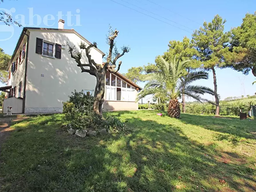 Immagine 3 di Villa in vendita  in Strada SAN SILVESTRO, 37 a Senigallia