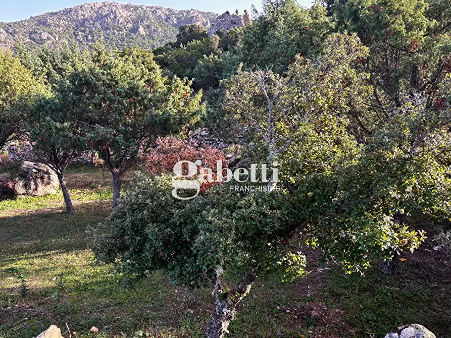 Immagine 6 di Magazzino in vendita  in LocalitÃ  Sas Enas, 2 a Padru