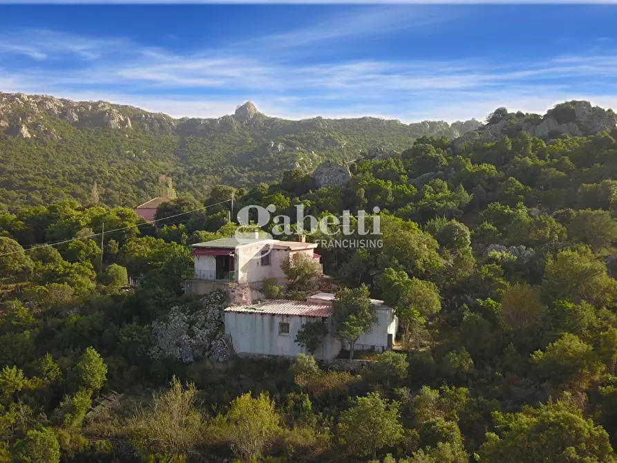 Immagine 1 di Magazzino in vendita  in LocalitÃ  Sas Enas, 2 a Padru