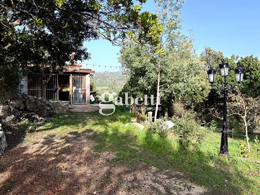 Immagine 4 di Magazzino in vendita  in LocalitÃ  Sas Enas, 2 a Padru