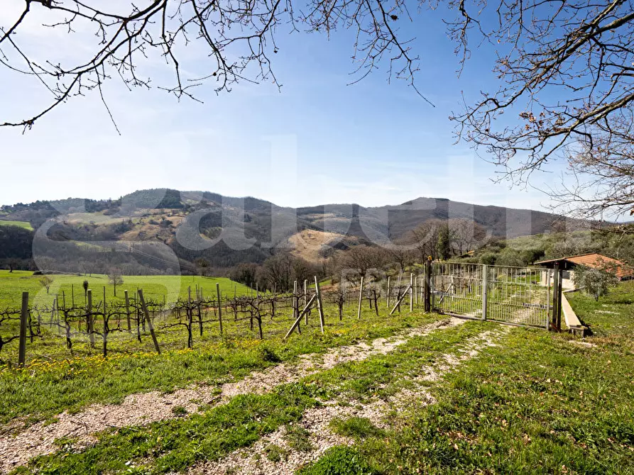 Immagine 15 di Rustico / casale in vendita  in Via DON GIULIO BARBANI, 1 a Assisi