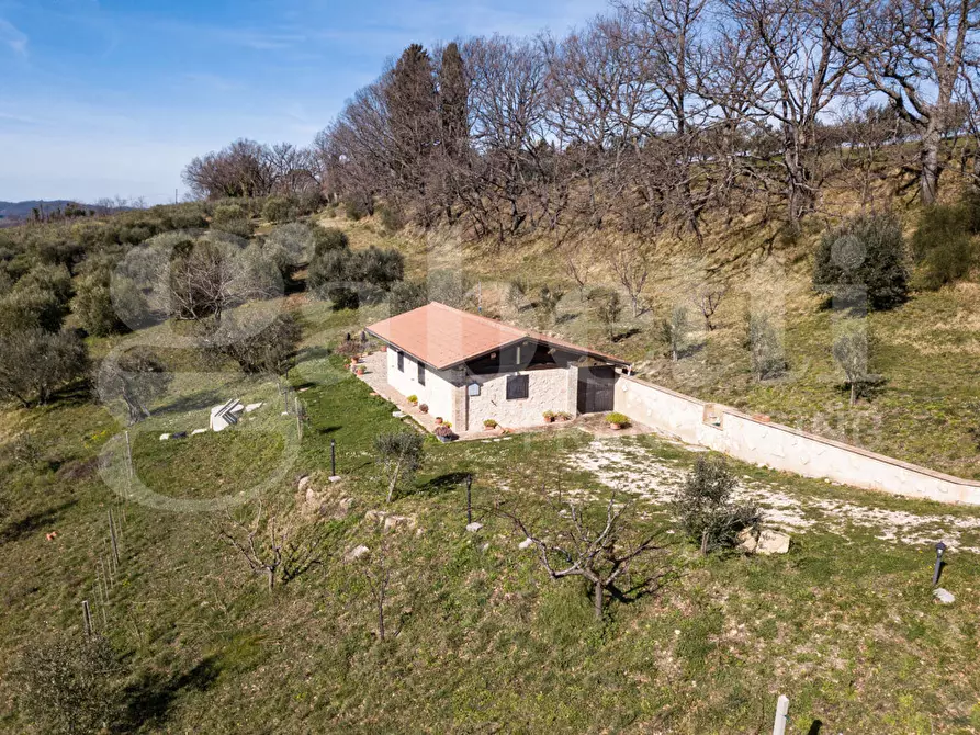 Immagine 17 di Rustico / casale in vendita  in Via DON GIULIO BARBANI, 1 a Assisi