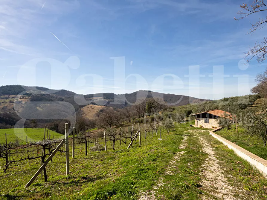 Immagine 10 di Rustico / casale in vendita  in Via DON GIULIO BARBANI, 1 a Assisi