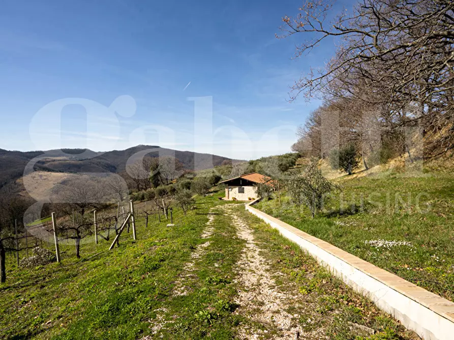 Immagine 24 di Rustico / casale in vendita  in Via DON GIULIO BARBANI, 1 a Assisi