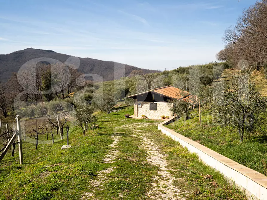 Immagine 32 di Rustico / casale in vendita  in Via DON GIULIO BARBANI, 1 a Assisi