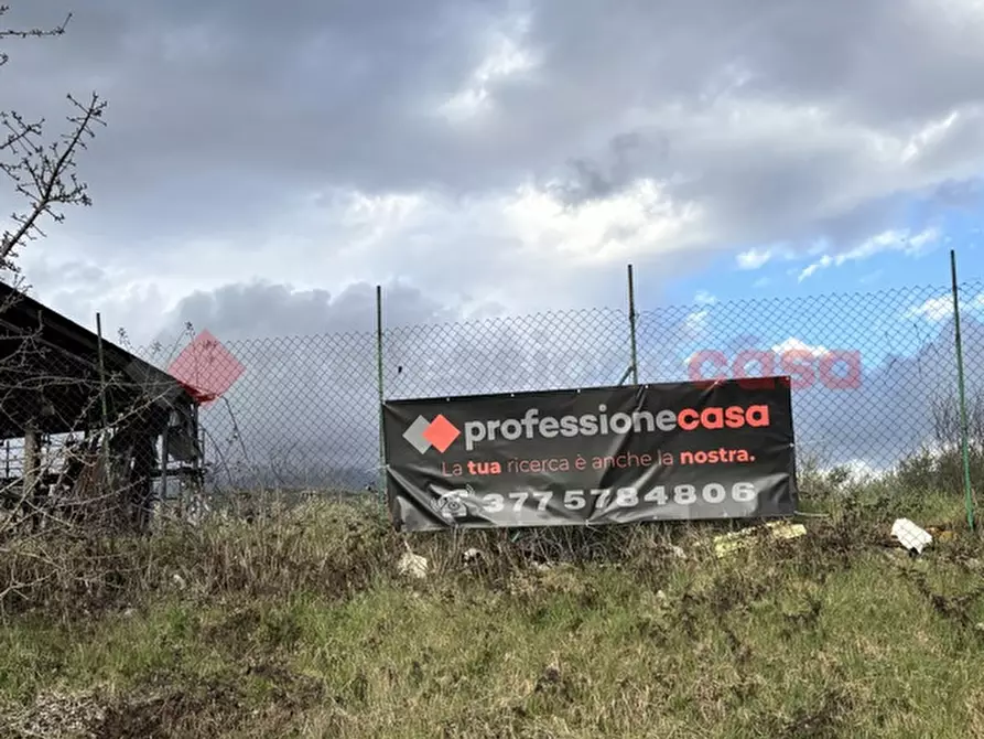 Immagine 18 di Terreno agricolo in vendita  in Via Strada statale 155 per fiuggi, SCN a Alatri