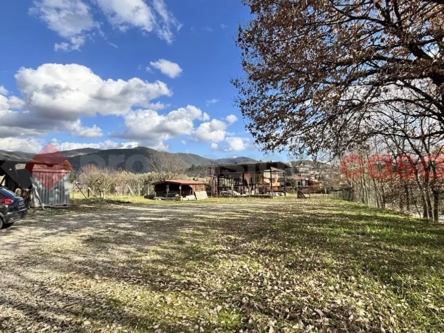 Immagine 5 di Terreno agricolo in vendita  in Via Strada statale 155 per fiuggi, SCN a Alatri