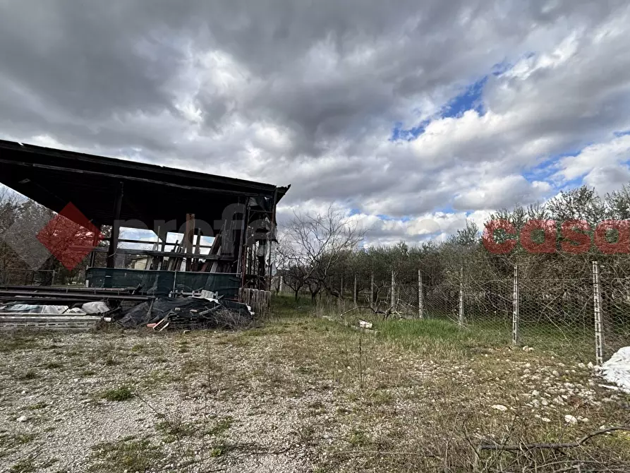 Immagine 16 di Terreno agricolo in vendita  in Via Strada statale 155 per fiuggi, SCN a Alatri