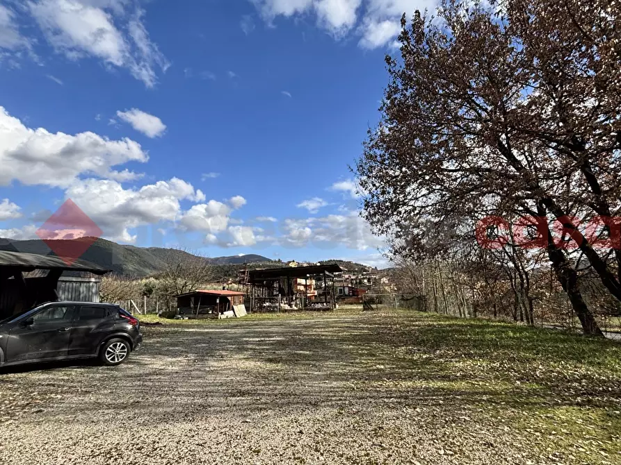 Immagine 3 di Terreno agricolo in vendita  in Via Strada statale 155 per fiuggi, SCN a Alatri
