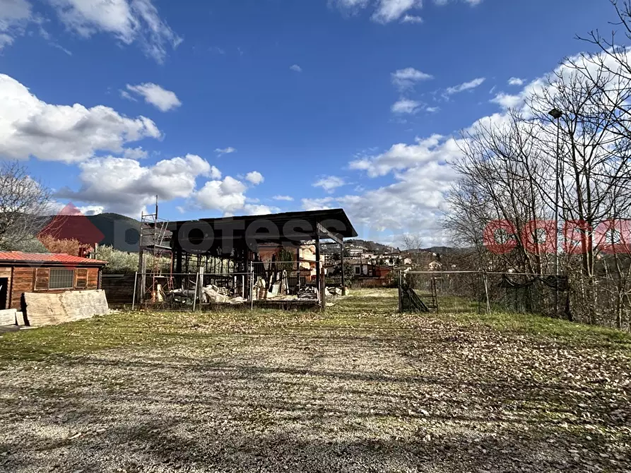Immagine 8 di Terreno agricolo in vendita  in Via Strada statale 155 per fiuggi, SCN a Alatri
