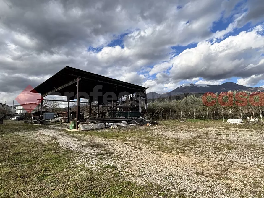Immagine 13 di Terreno agricolo in vendita  in Via Strada statale 155 per fiuggi, SCN a Alatri