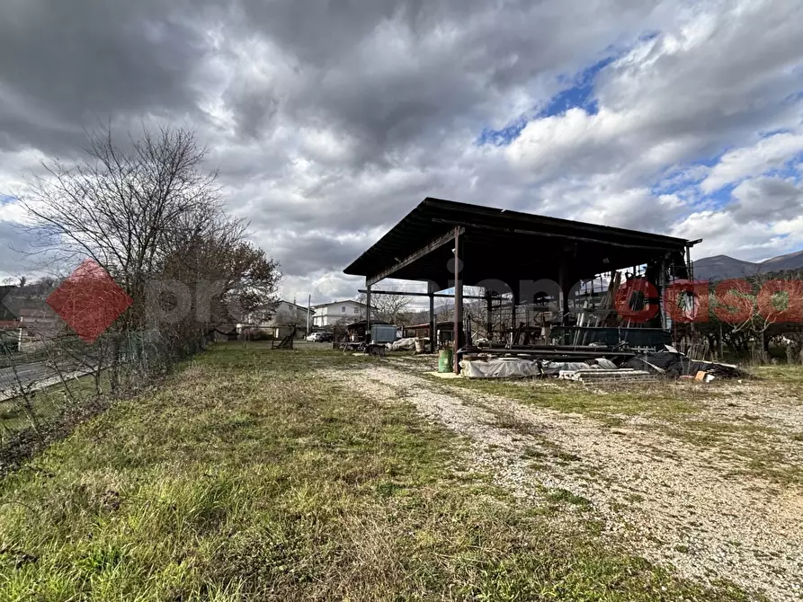 Immagine 12 di Terreno agricolo in vendita  in Via Strada statale 155 per fiuggi, SCN a Alatri