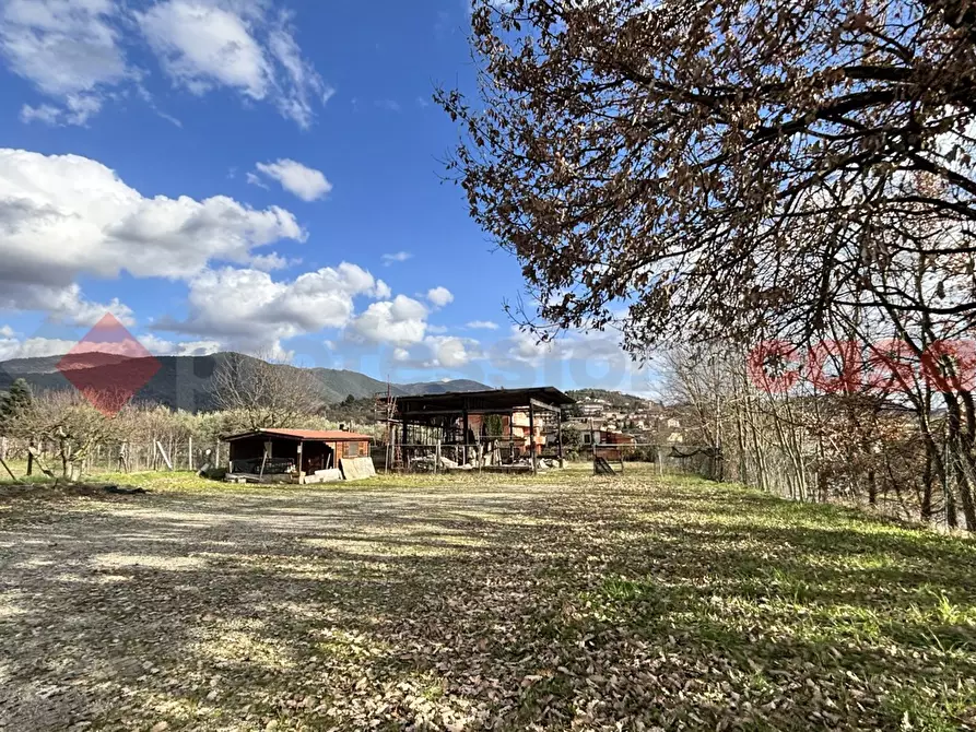 Immagine 7 di Terreno agricolo in vendita  in Via Strada statale 155 per fiuggi, SCN a Alatri