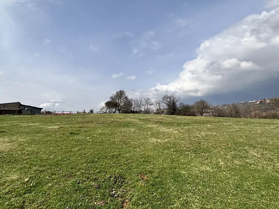 Immagine 12 di Terreno residenziale in vendita  in Via collittimi, snc a Trivigliano