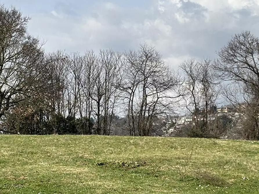 Immagine 11 di Terreno residenziale in vendita  in Via collittimi, snc a Trivigliano