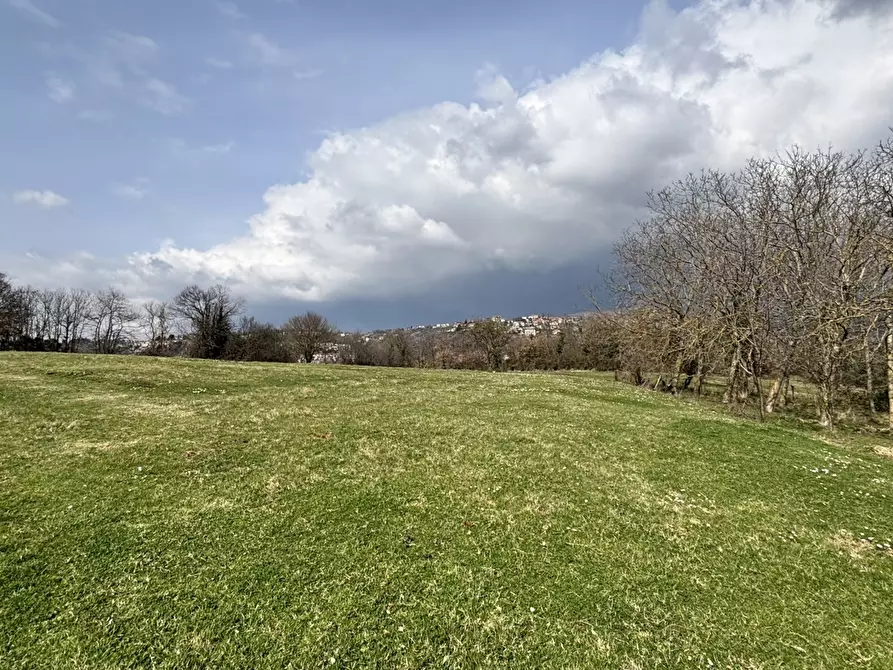 Immagine 13 di Terreno residenziale in vendita  in Via collittimi, snc a Trivigliano