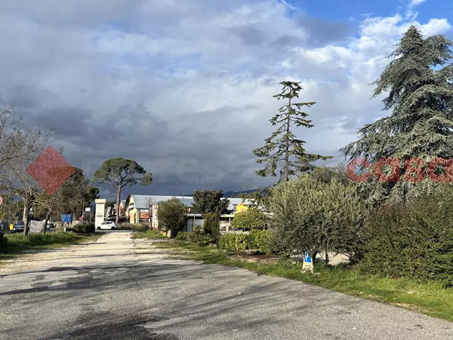 Immagine 13 di Negozio in affitto  in Strada statale 155, 1 a Alatri
