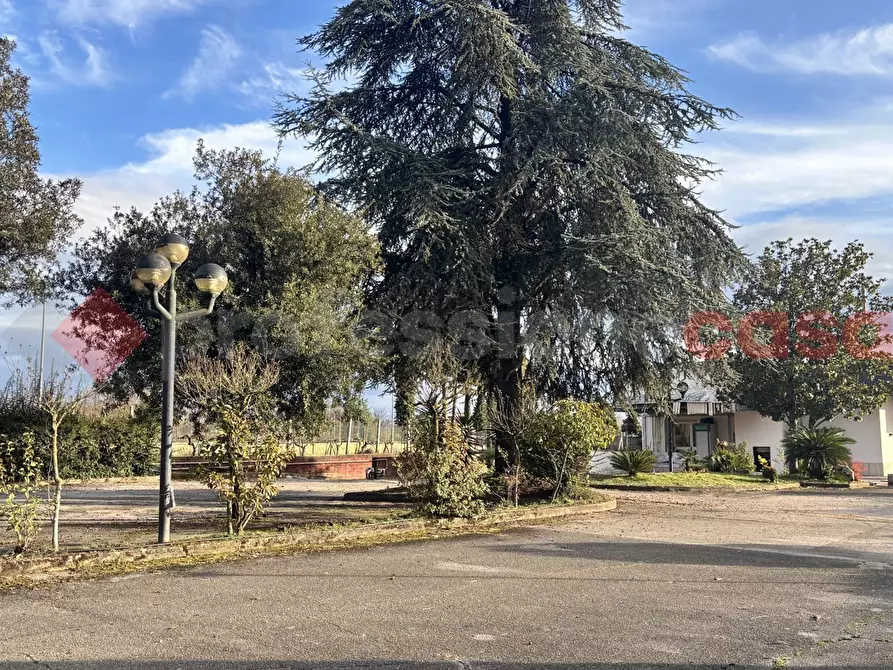 Immagine 5 di Negozio in affitto  in Strada statale 155, 1 a Alatri