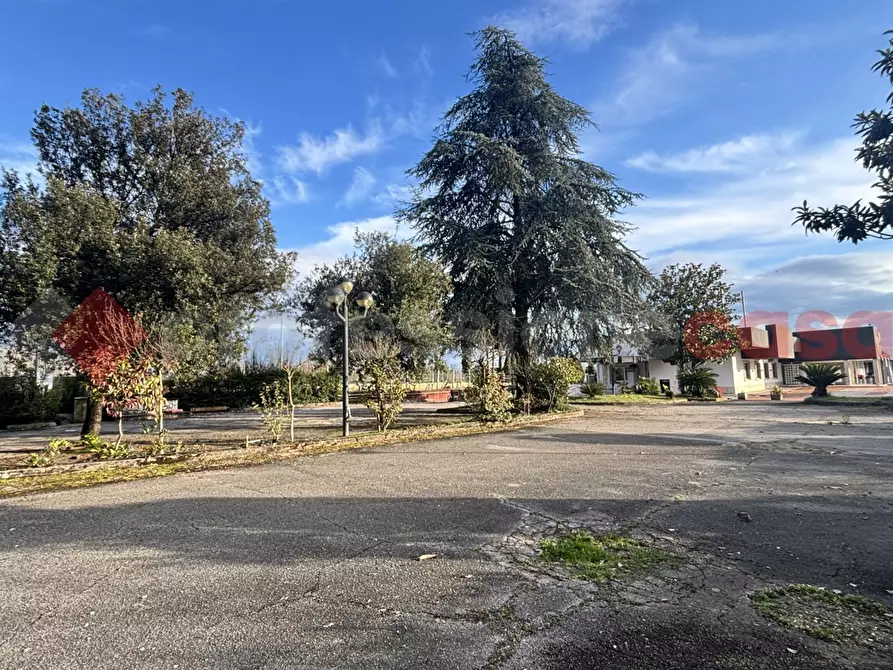 Immagine 6 di Negozio in affitto  in Strada statale 155, 1 a Alatri