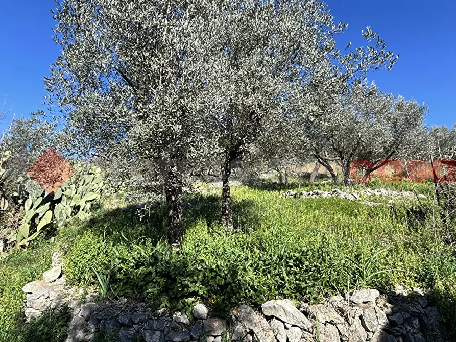 Immagine 11 di Rustico / casale in vendita  in Via Montereo, 32 a Alatri