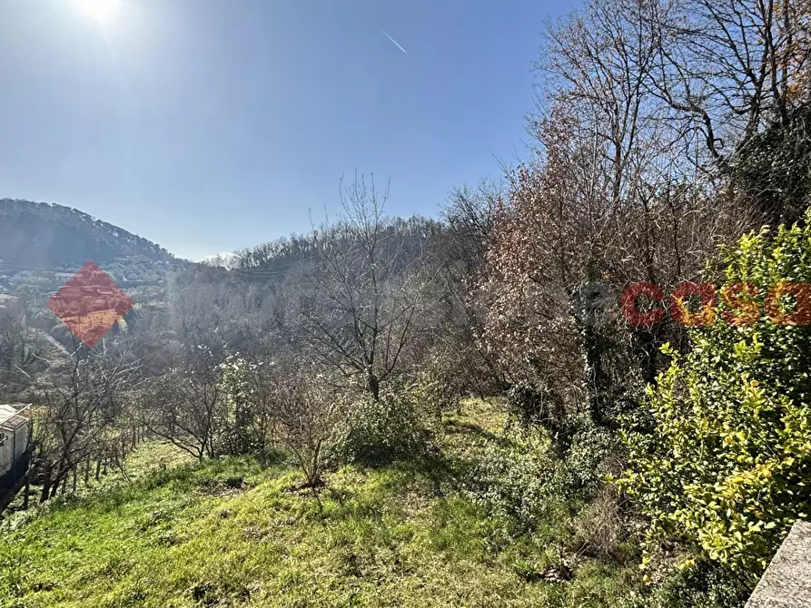 Immagine 15 di Rustico / casale in vendita  in Via Monte San Marino, snc a Alatri