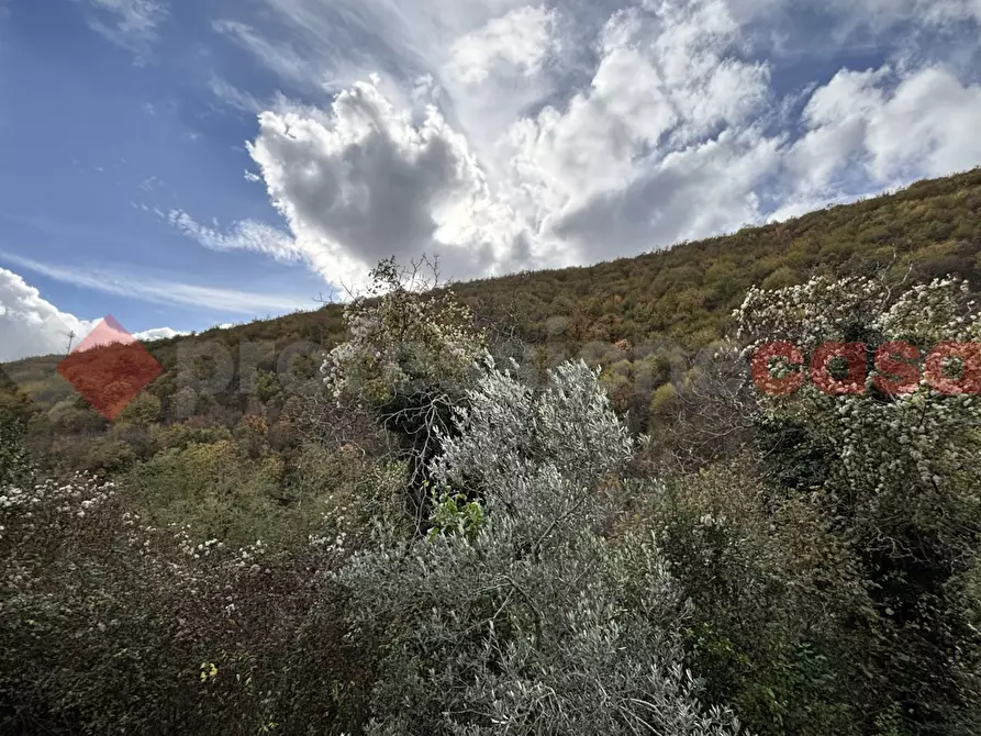 Immagine 15 di Appartamento in vendita  in Via santa maria della quercia, 56 a Guarcino