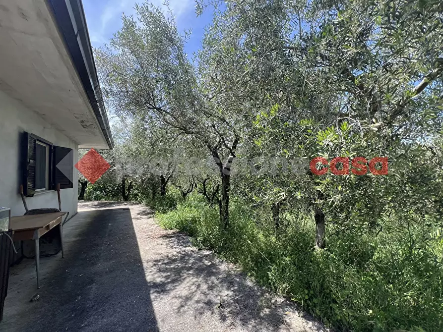 Immagine 15 di Villa in vendita  in Via vicinale casette, 1 a Fumone