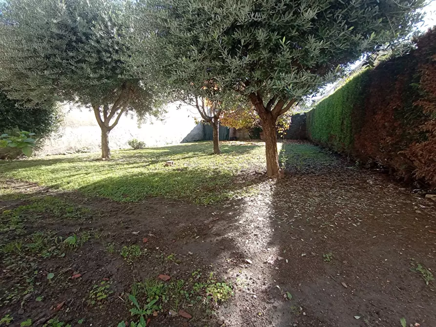 Immagine 29 di Appartamento in vendita  in Via Cavarzere, via Nazario Sauro, 00 a Cavarzere