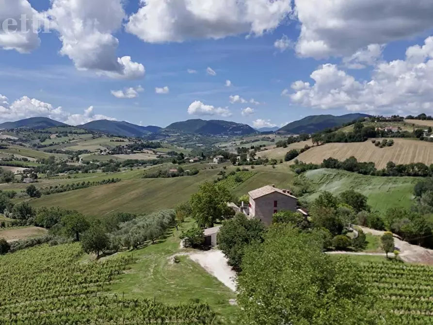 Immagine 13 di Casa bifamiliare in vendita  in Via MONTALE a Arcevia