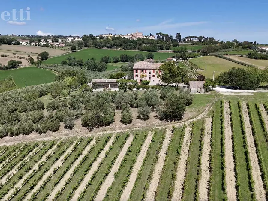 Immagine 5 di Casa bifamiliare in vendita  in Via MONTALE a Arcevia